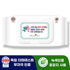 물티슈 — 로티엔 화이트 브라운 40g 물티슈 (100매)