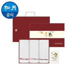선물세트 — [송월타월] 한가위 띠지 감사장 자수타월 3매입 선물세트H